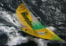 Comme neige au soleil ! Bonduelle de Jean Le Cam