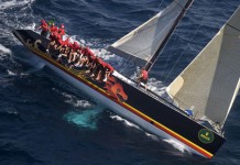 Maxi sensations Maxi Rolex Cup-Black Dragon