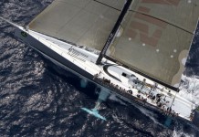 Plateau royal pour Sydney-Hobart Maxi Rolex Cup-Maximus