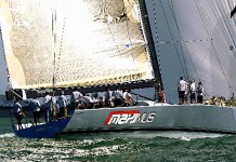 Maximus, hors du commun ! Maximus