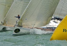 Le chant des cygnes Swan 45