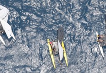 Vas-y Coco ! Coco Beach Race