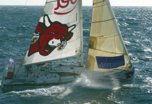 11h, Top départ de la Solitaire : quelles forces en présence ? Kito De Pavant - Groupe Bel