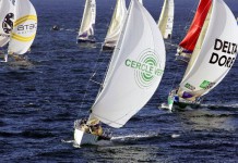 Un plateau en or massif Solitaire Afflelou Le Figaro