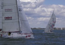 Tip Top Too en tête de la Mini Lion Tip Top Too - Andrea Caracci