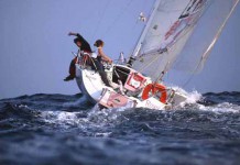 Les Mini vont manger du Lion Roxy - Alexia Barrier