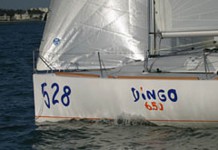 Marée Haute et le Dingo. Dingo