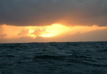 Orange II à l´équateur dans 4 jours ! Bruno Peyron - Orange II