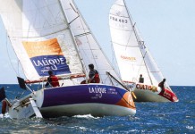 Un Mini aux couleurs de la Ligue contre le Cancer Le proto Berret N°19