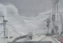 Hurleurs des mers australes Marc Thiercelin - Pro-Form