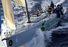 Skandia chavire, Nicorette s’impose Sydney-Hobart 2004