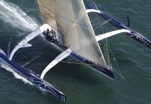 Lemonchois d’attaque Gitana 11