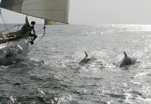 Derniers préparatifs avant le départ de Charleston Portimao Roaring Fourty
