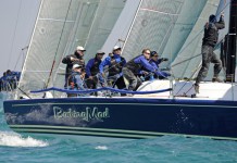 Des conditions éprouvantes à Miami Barking Mad Miami 2010