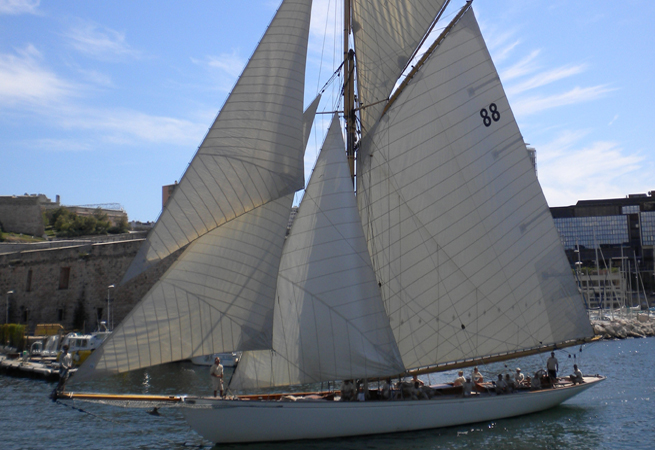 Moonbeam of Fife Moonbeam of Fife