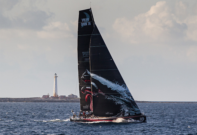 Puma au large de la Floride Puma au large de la Floride