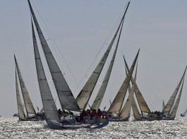 Commodores` Cup 2008