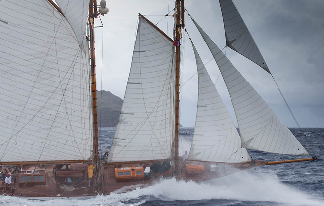 Adventuress Antigua Adventuress Antigua