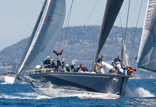 Bella Mente Palma Vela Bella Mente Palma Vela
