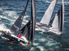 Wild Oats XI Perpetual Loyal