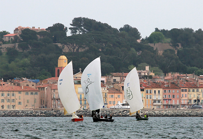 Coupe de l`Hippocampe Coupe de l`Hippocampe