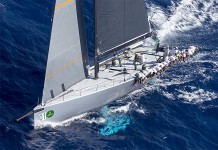 Et les vainqueurs sont Alegre, Magic Carpet et Lionheart Alegre