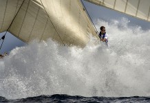 L´Image de l´Année 2014 Image de l`année 2014 Alfred Farré Mariquita