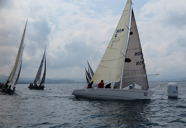 Coupe de l`Hippocampe Smerelda 888 Coupe de l`Hippocampe Smerelda 888