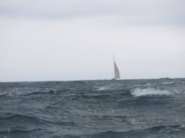 Course Au Large Saint-Tropez qualificative pour la Route du Rhum