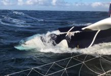 Premières images de l’étrave arrachée de Gitana