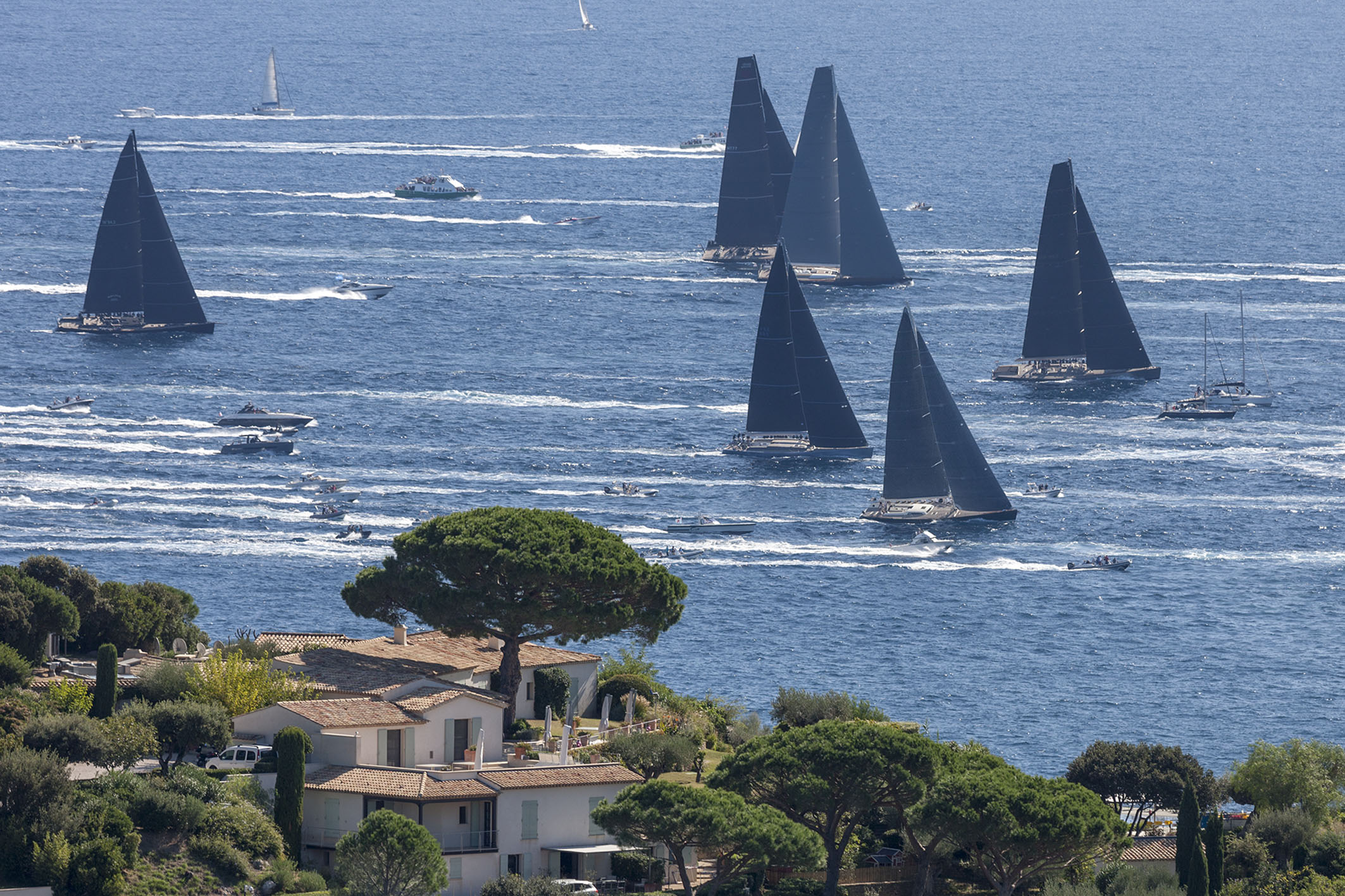 a tanulmány lánc Szomorú participants voiles de saint tropez borsó ...