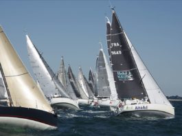 La Duo Cat-Amania du 19 au 25 juin