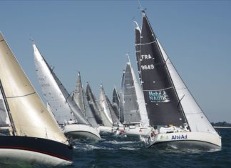 La Duo Cat-Amania du 19 au 25 juin