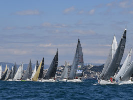 Massilia Cup. Un beau final pour une 40e édition réussie