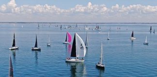 Spi. Pétole en Baie de Quiberon