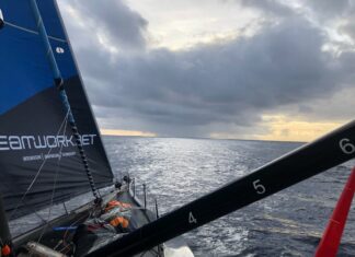 Imoca. Un bouton à bord pour signaler les mammifères ou des Ofnis !