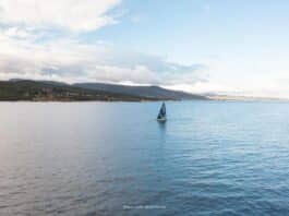 Pro Sailing Tour. Les orques s’invitent à la sortie de Gibraltar !