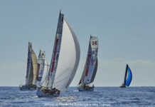 Mini Transat. Pendant ce temps-là, les Ministes vous envoient du soleil !
