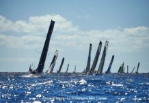 Mini- Transat. A moins de 1000 milles de l’arrivée !