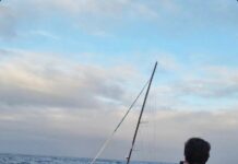 Class40. Le bateau Sogestran Seafrigo récupéré