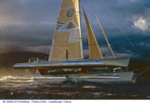 Le trimaran Pierre 1er de Florence Arthaud racheté par Nautic