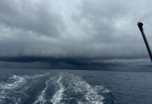 Vendée Globe. Sam Goodshild et Seb Simon bien partis dans le pot-au Noir