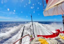Vendée Globe. Dalin accélère toujours
