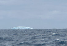 Vendée Globe. Icebergs en vue pour les skippers