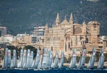 FFvoile. Franck Citeau en duo avec Loïc Billon pour manager l’Équipe de France