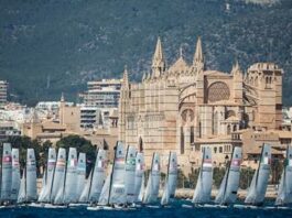 FFvoile. Franck Citeau en duo avec Loïc Billon pour manager l’Équipe de France