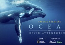 Film. “Ocean” par David Attenborough, un film coproduit par Arksen & 10% for the Ocean