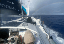 Transat Café l’Or. Seafrigo-Sogestran reprend la tête en Class40