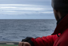 Trophée Jules Verne. Croisement avec un growler dans l’Océan Indien