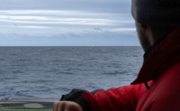 Trophée Jules Verne. Croisement avec un growler dans l’Océan Indien